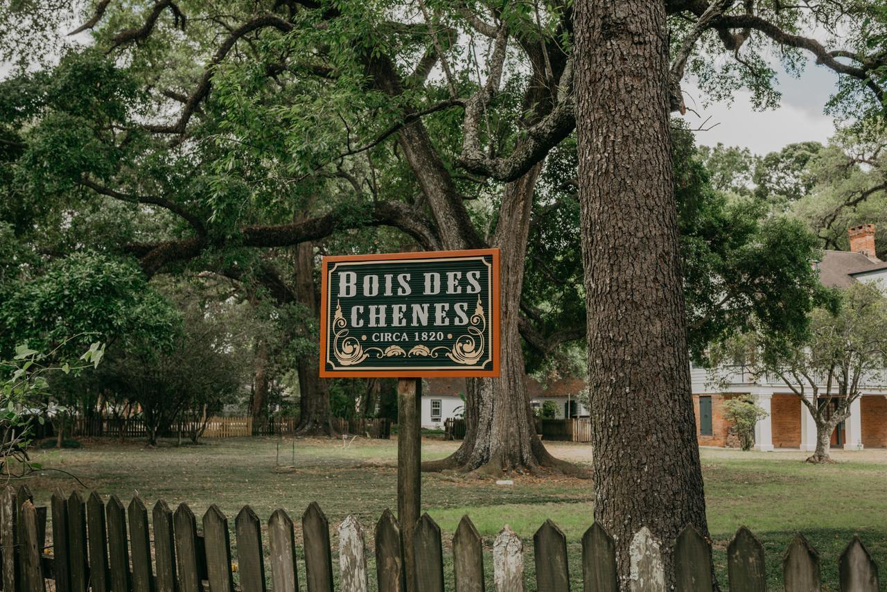 Maison Mouton Bed & Breakfast Lafayette Exterior photo